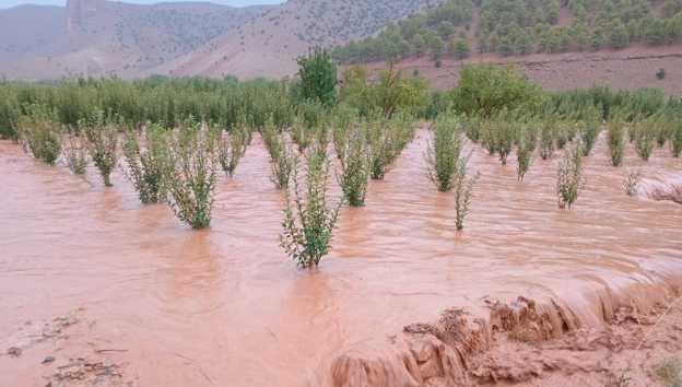 صوت الأعالي.. آيت بوكماز تنتفض: مطلب فك العزلة والعدالة التنموية على رأس الأولويات - أطلس سكوب | Atlasscoop